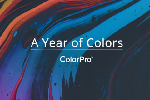 ViewSonic запускает глобальную кампанию A Year of Colors («Год в цвете»)